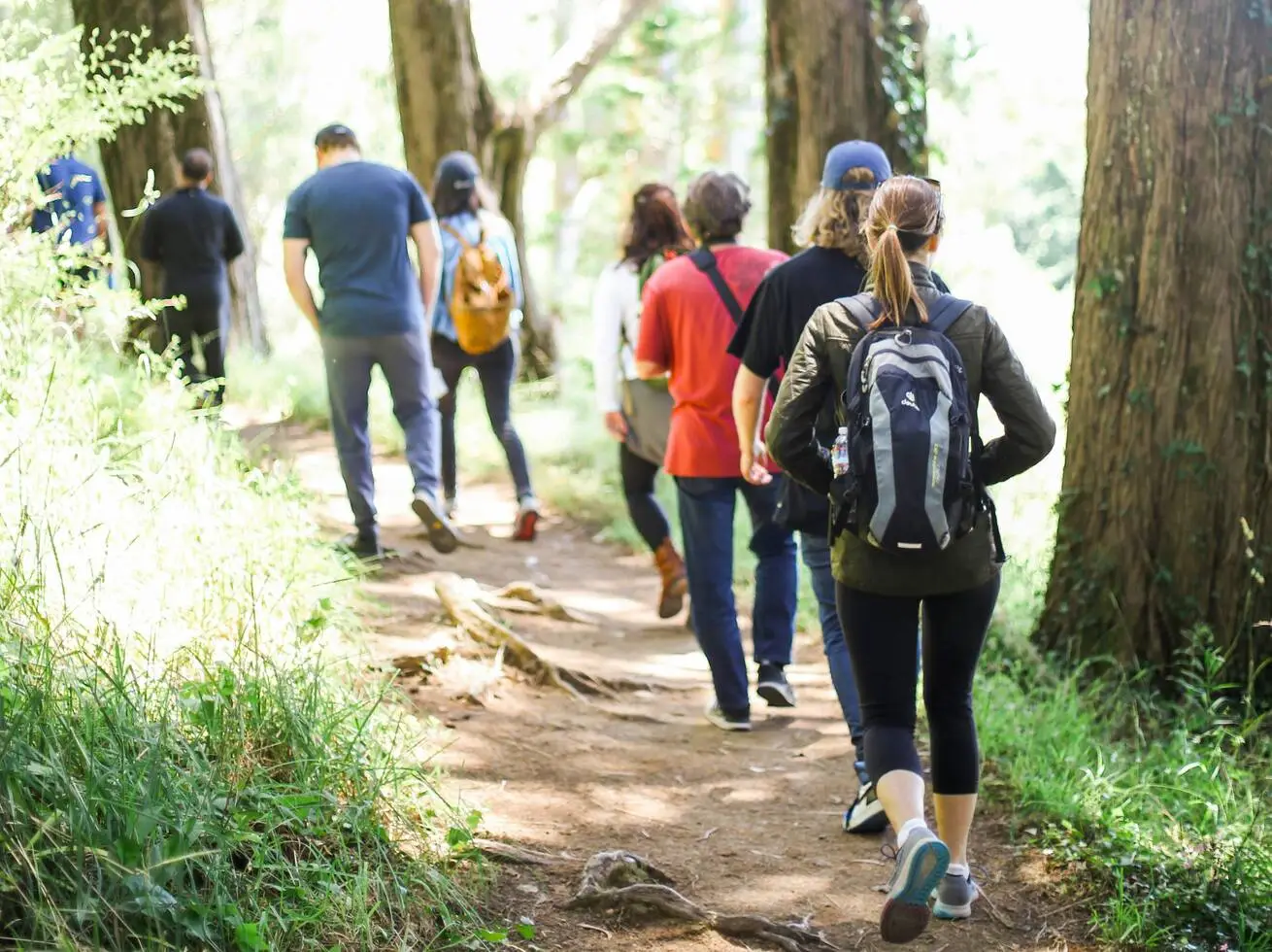 Guided walks