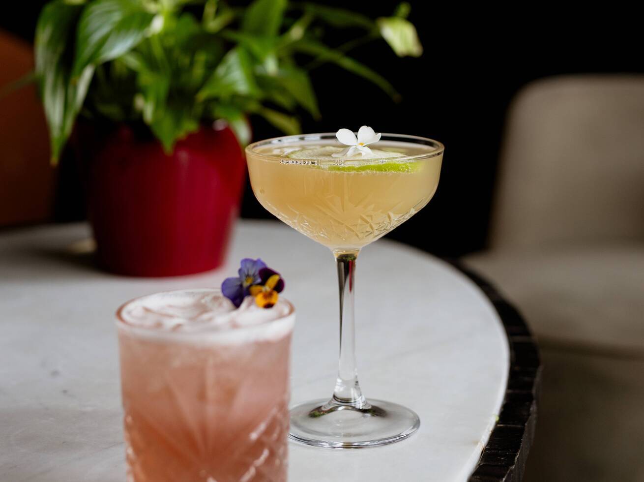 A treat for both of you