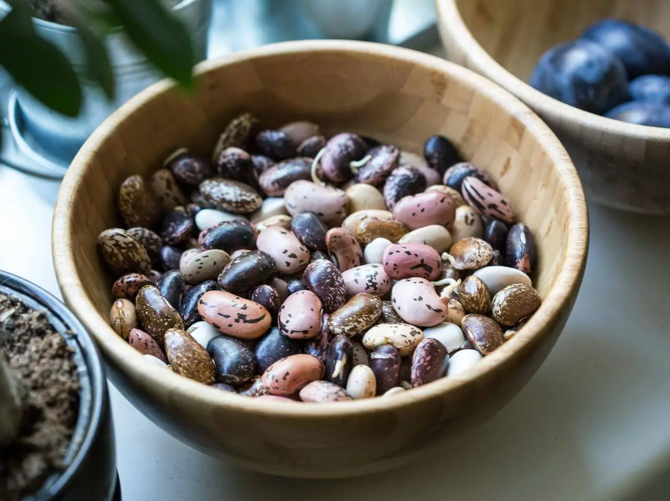 Beans means...