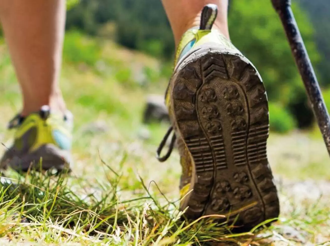 How Nordic walking could change your life