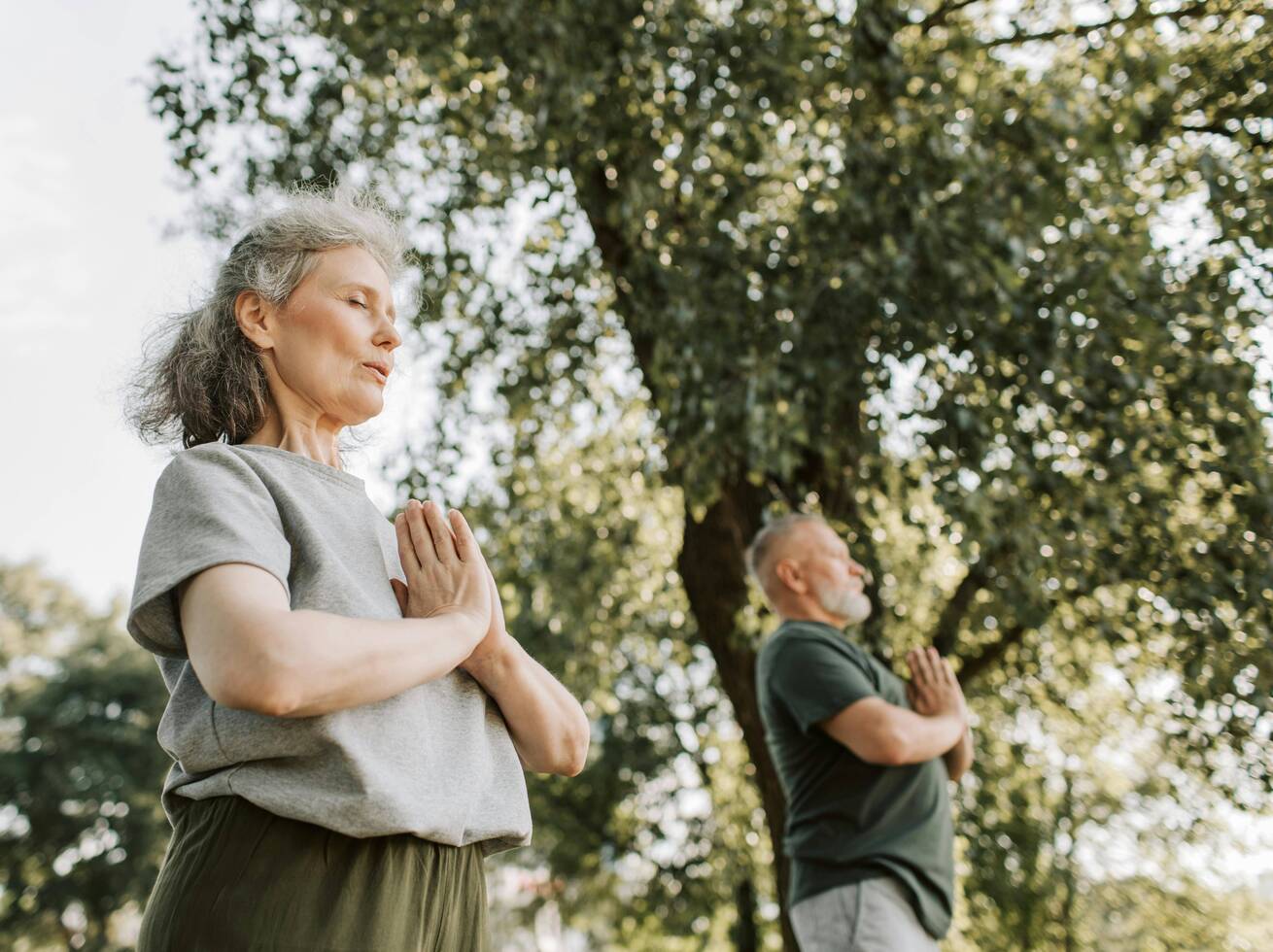 The Art of Slow Wellness