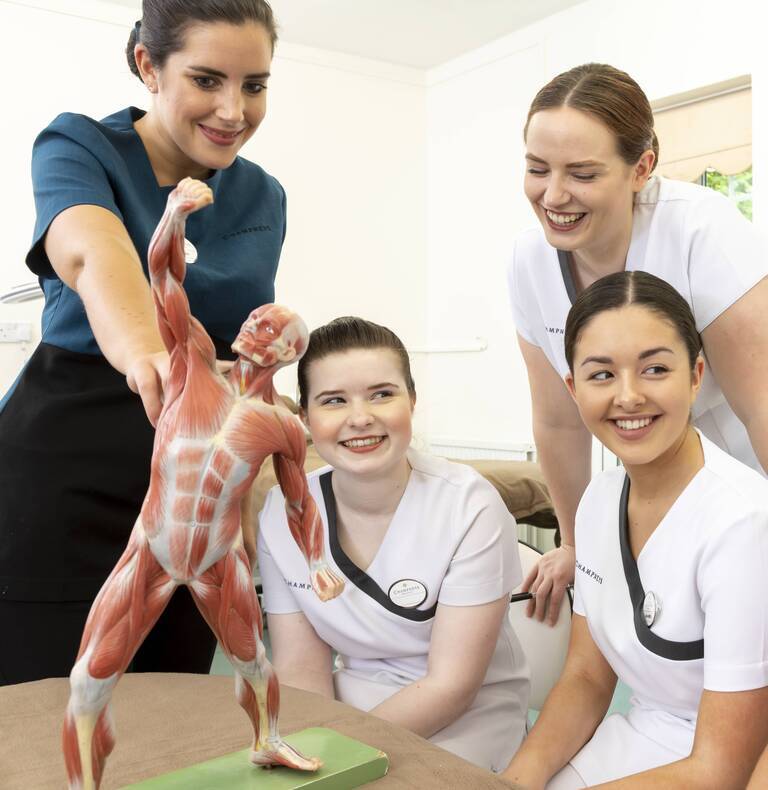 Anatomy & Physiology Courses