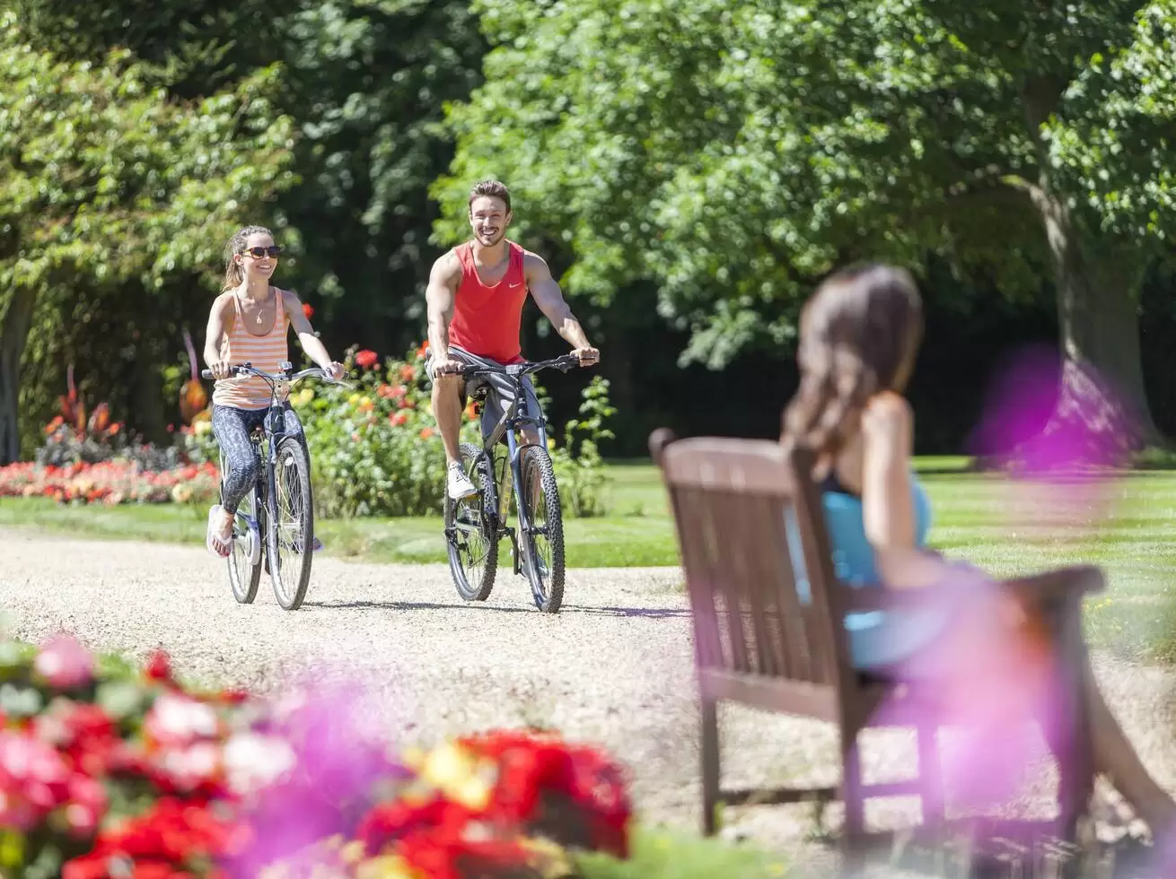 Bikes & cycling routes