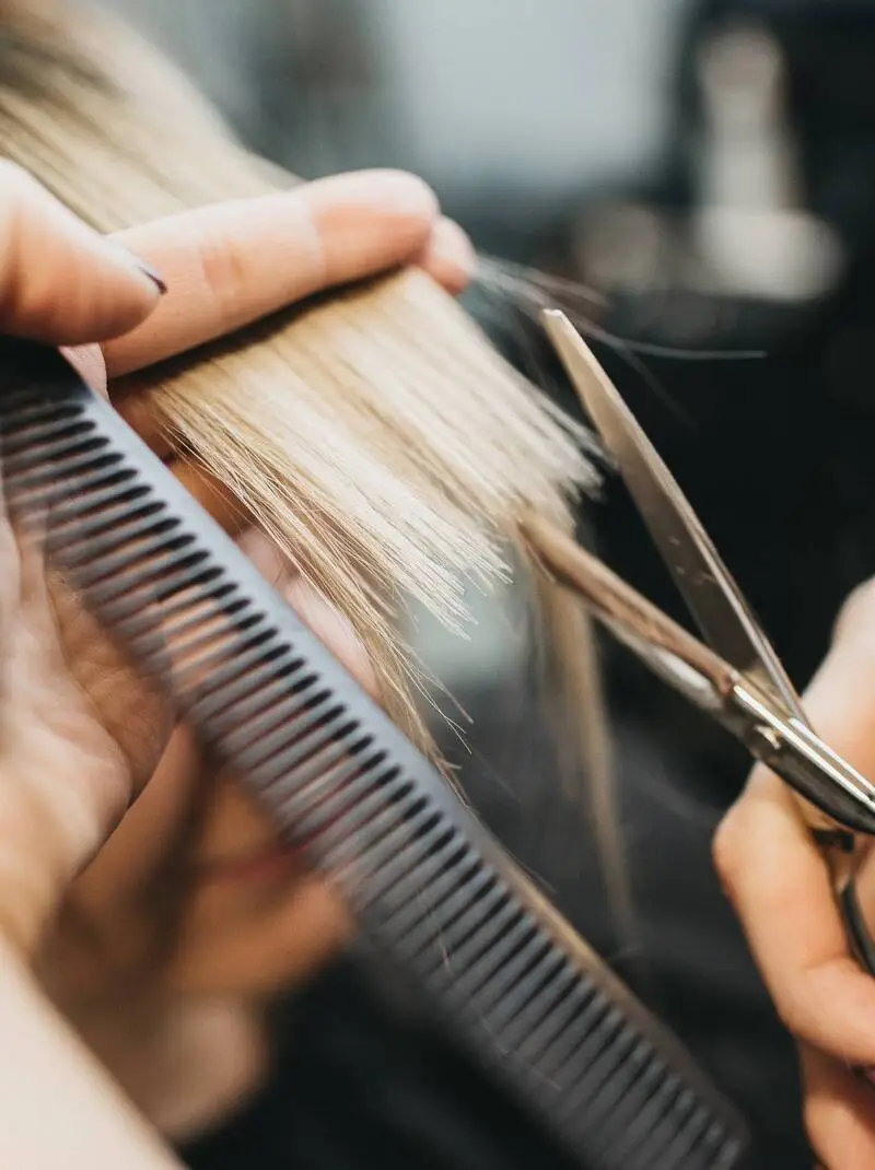 The House of Hair
