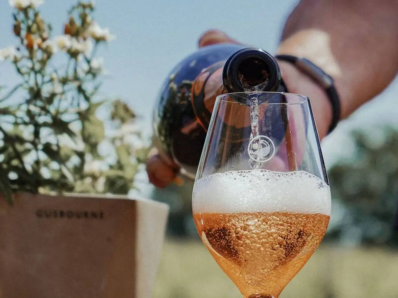 Gusbourne Tour Escape
