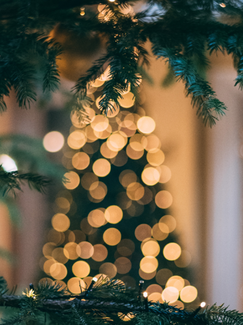 Christmas at Buxton Crescent