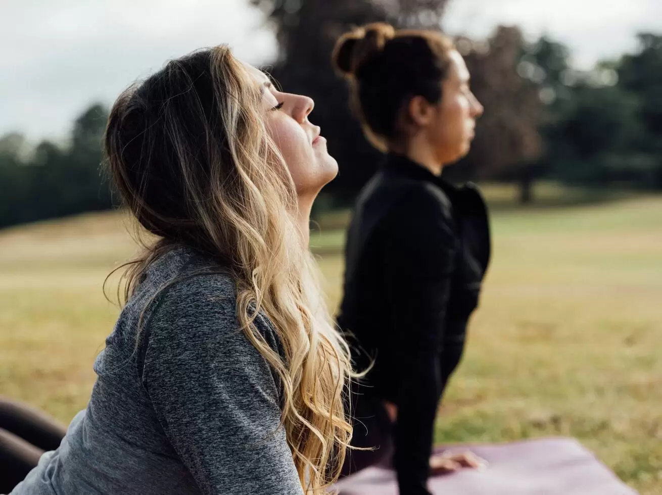 Wellbeing Retreats