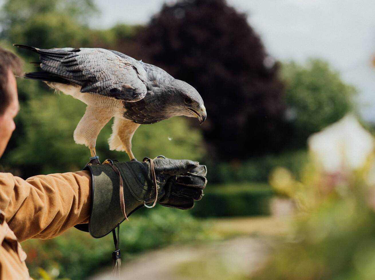 The Hawking Centre