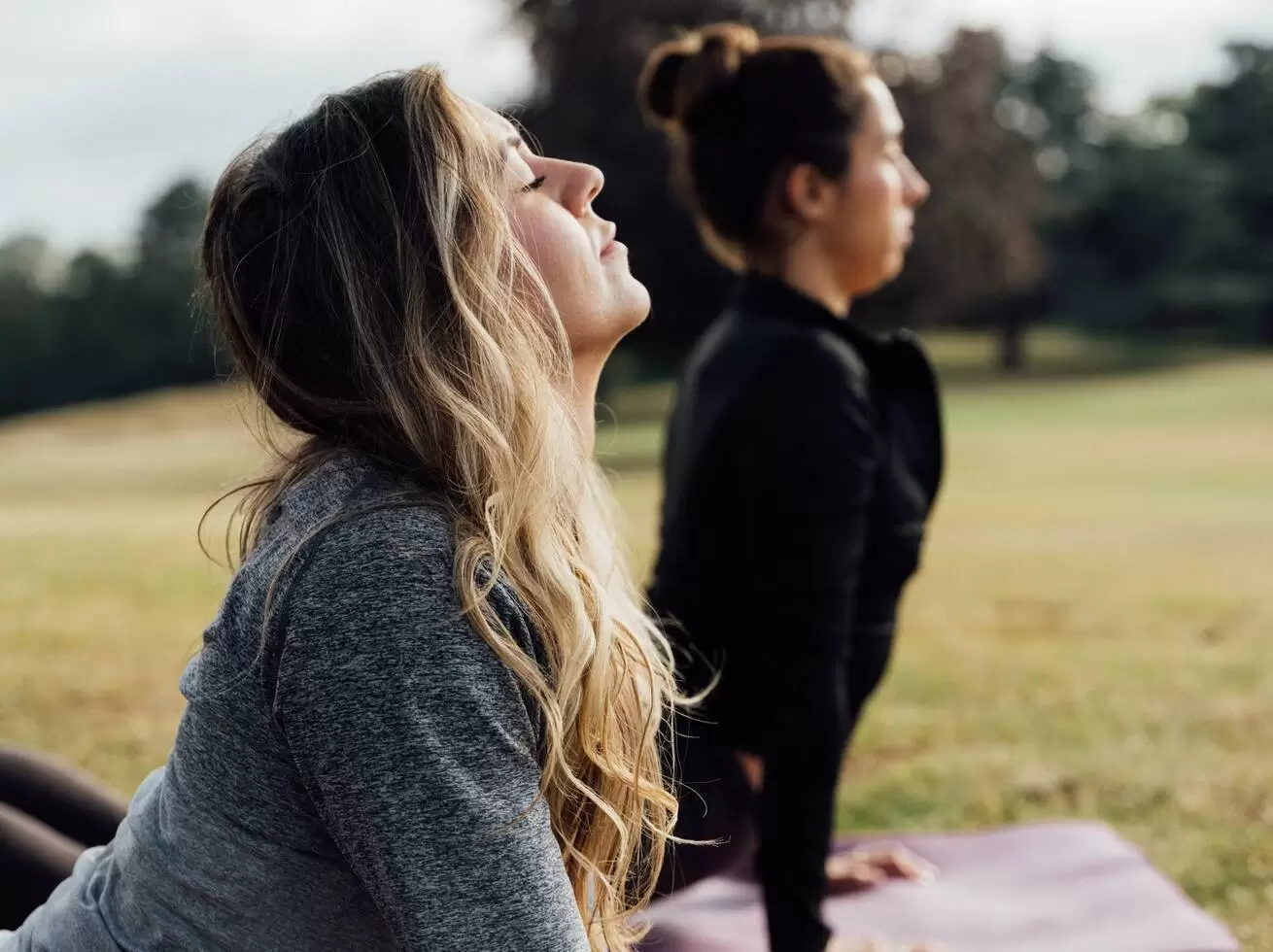 Wellbeing Retreats