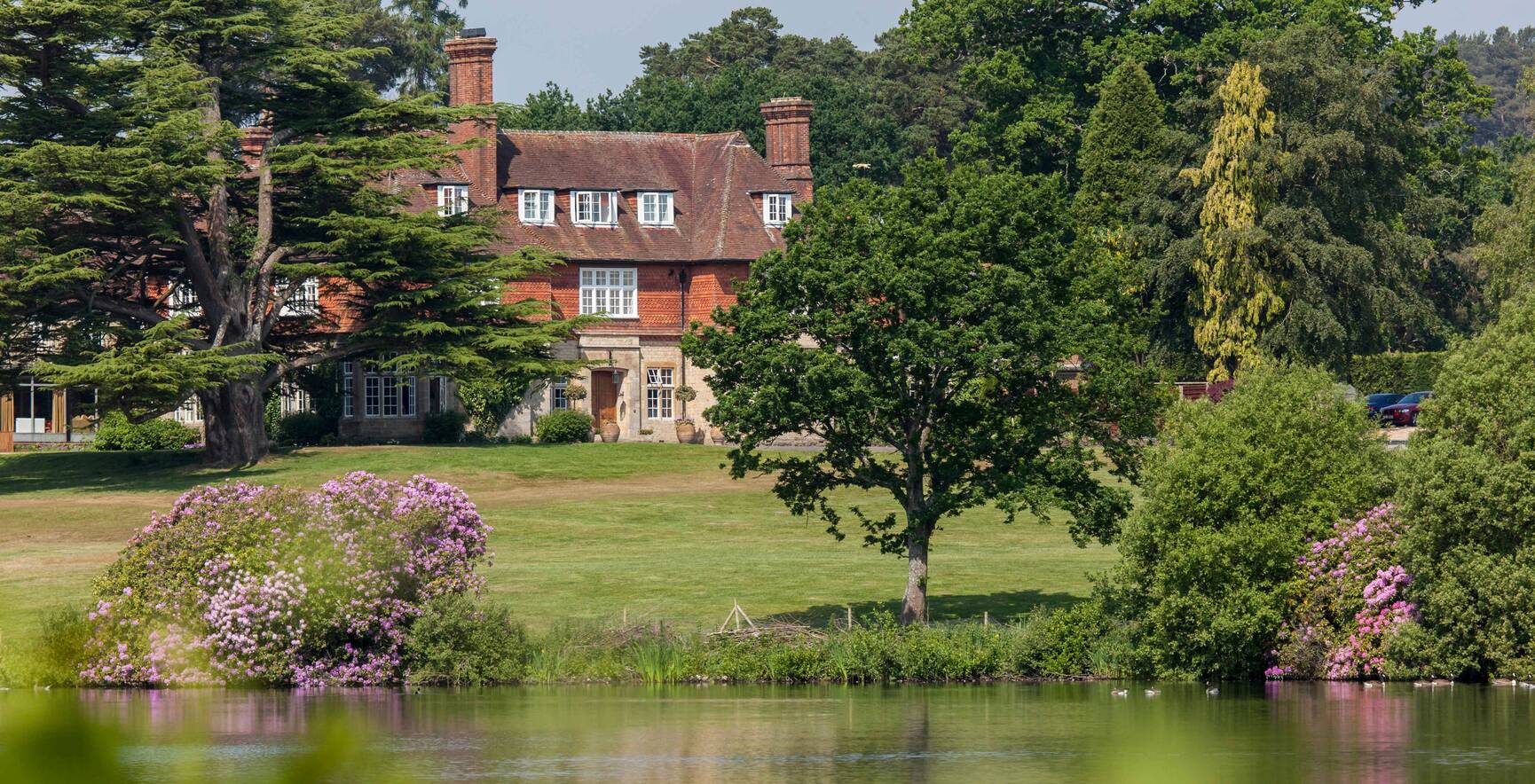 Forest Mere