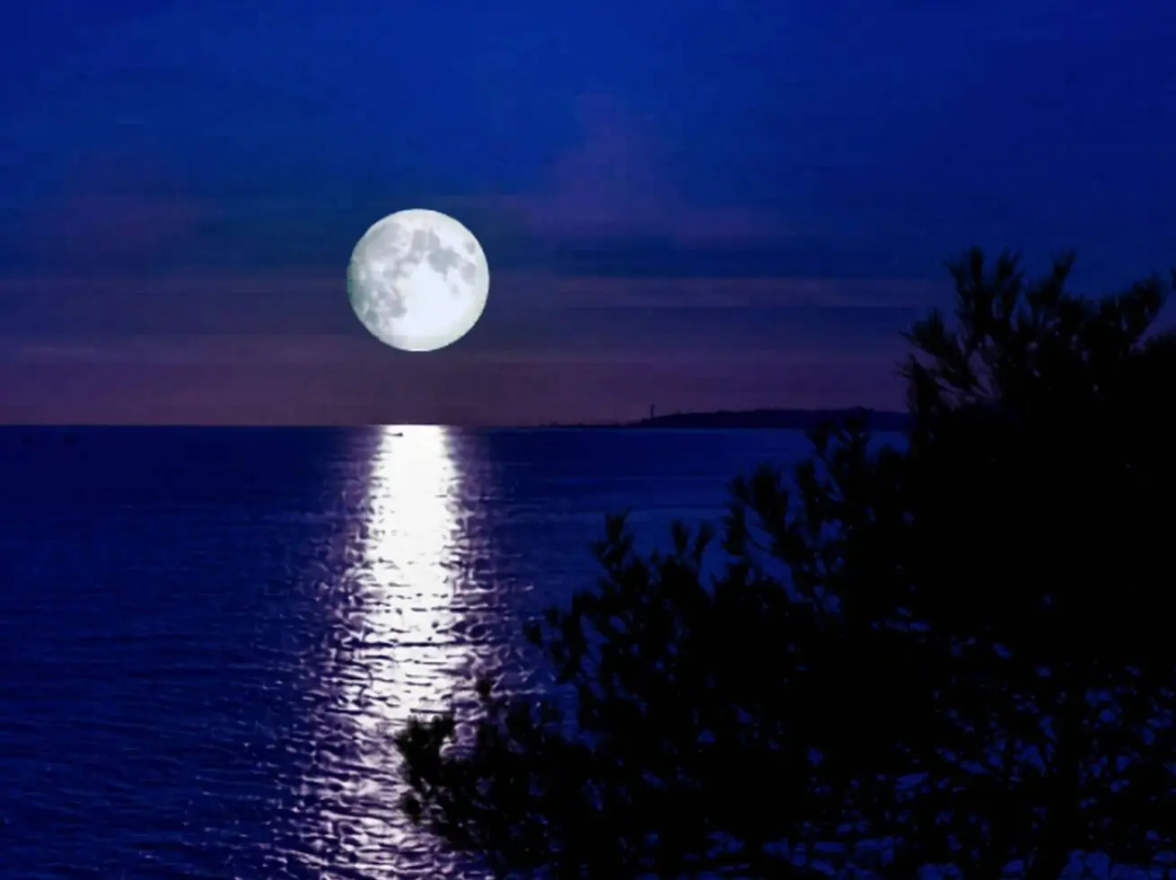 Blue Moon Floating Sound Bath