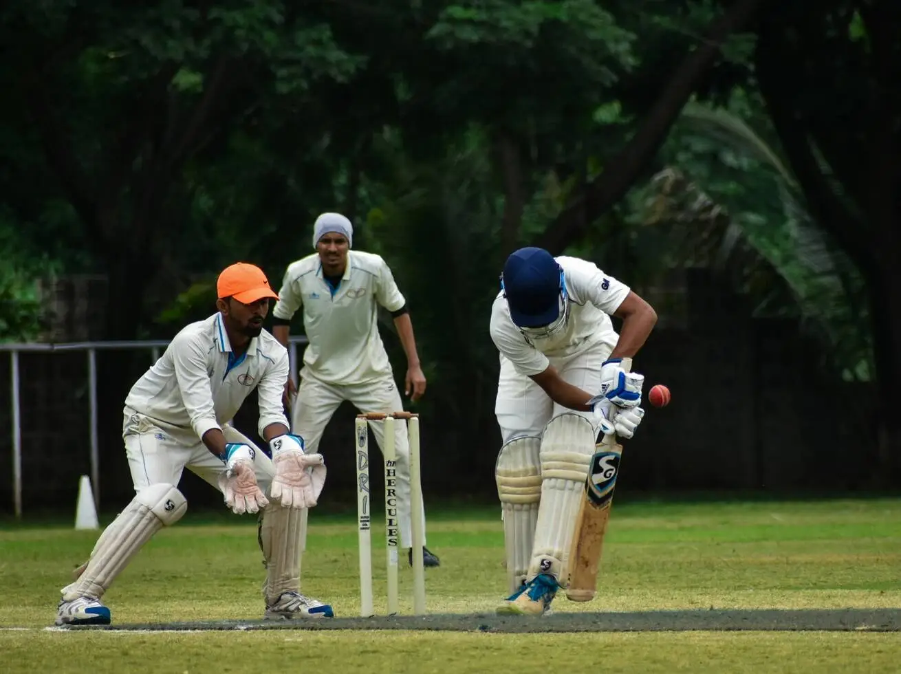 Member 20/20 Cricket Match