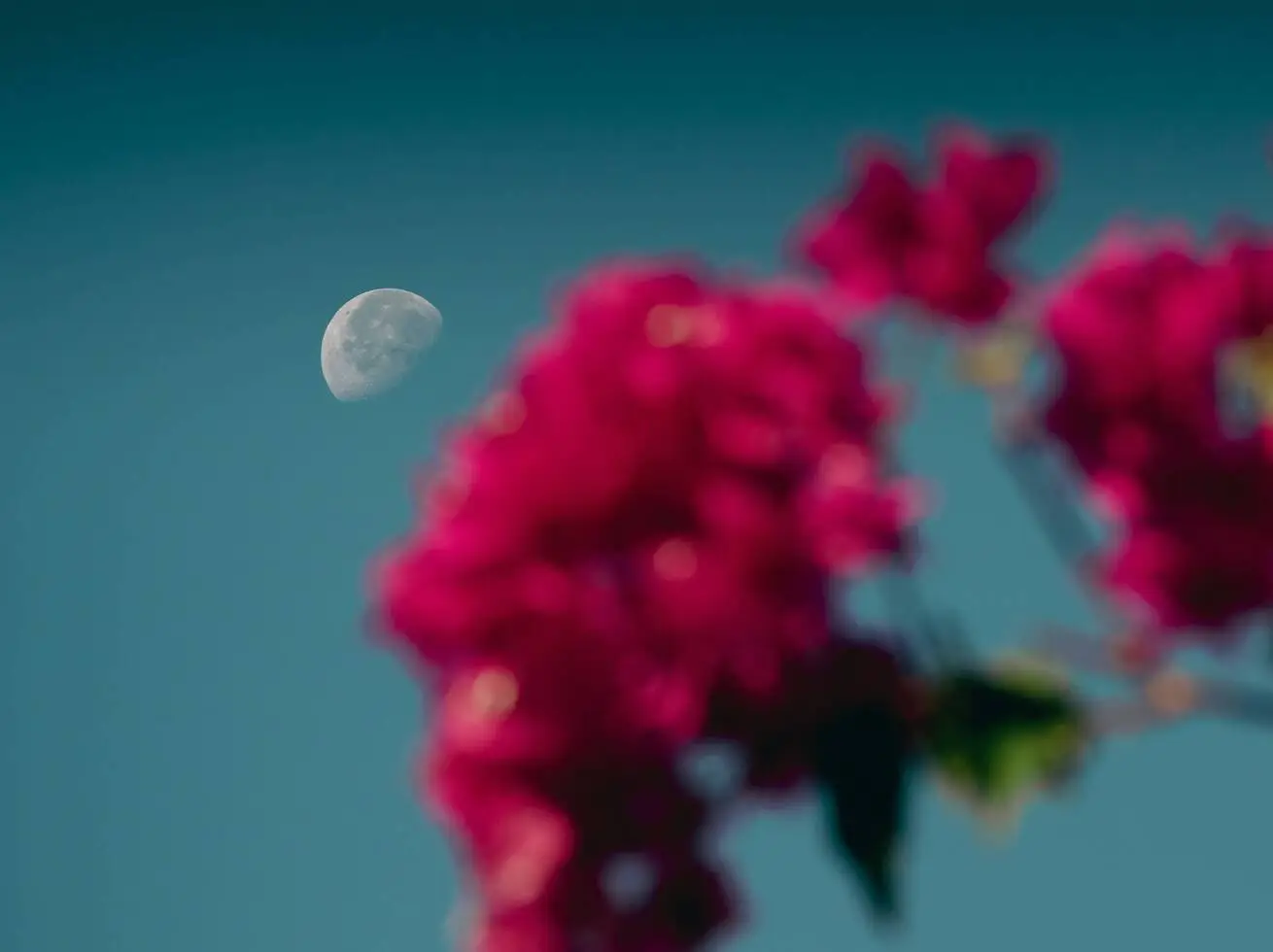 Flower Moon Floating Sound Bath