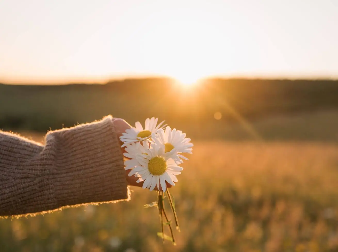 Peace Over Pleasing