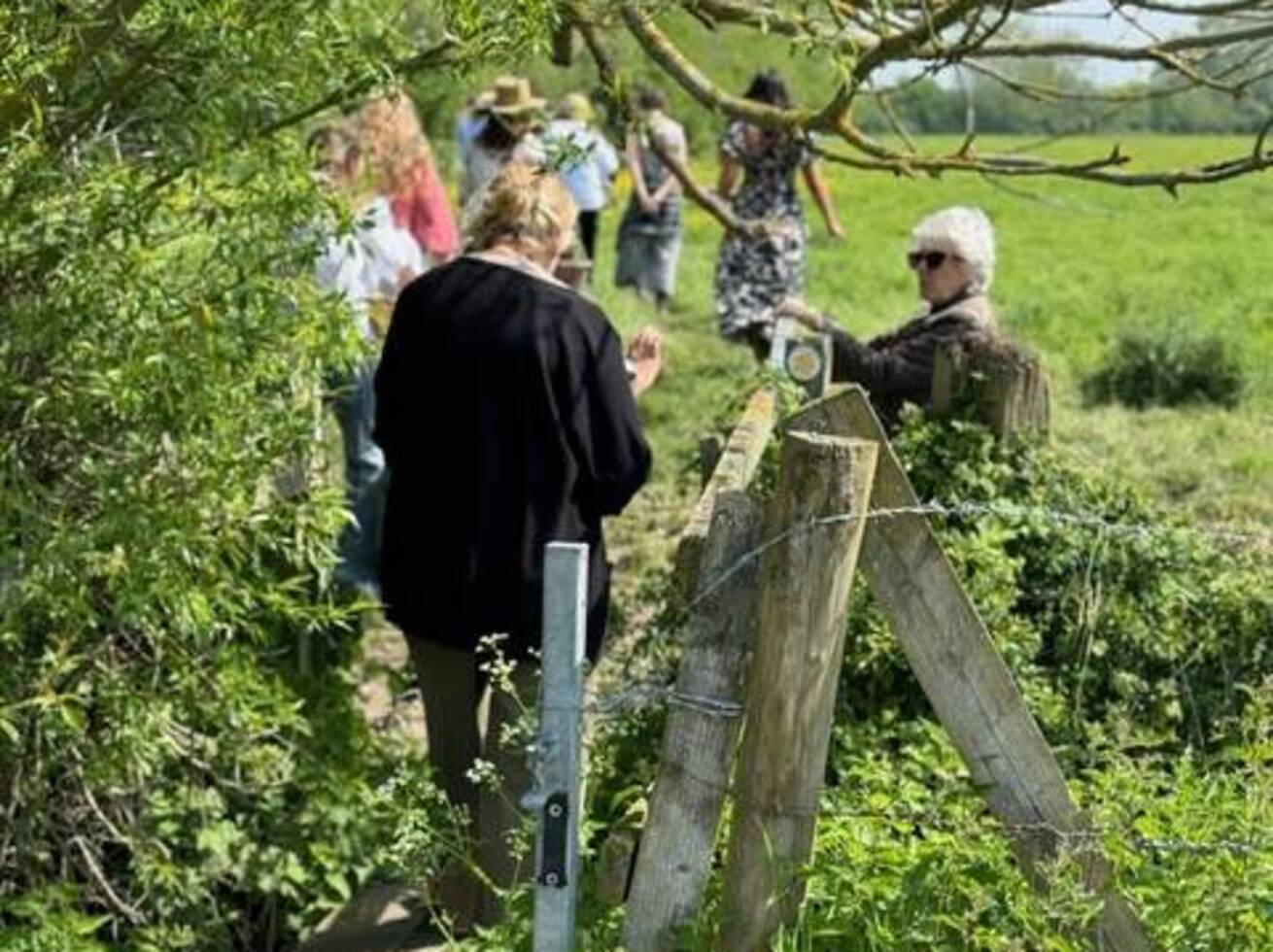 Wellbeing & Nature Connection Walk
