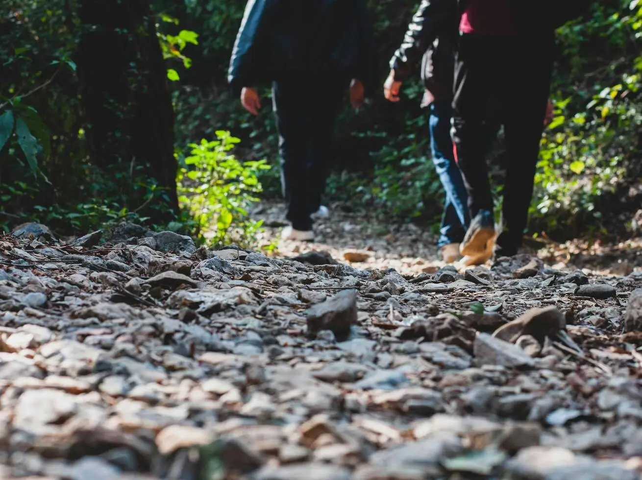 Walk for Wellbeing